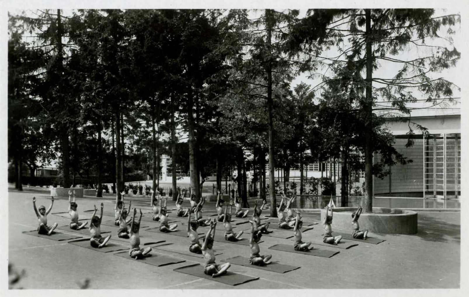 mus-Cartepost_2006-2-569_1_0