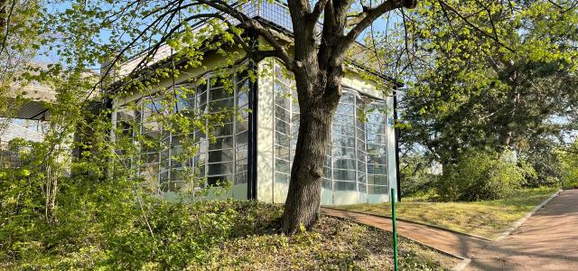 Vue extérieure de l'Ecole de plein air de Suresnes 