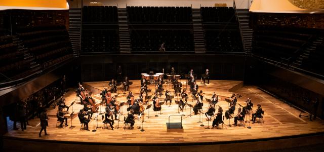 Concert "Il fait novembre en mon âme" par l'Orchestre de chambre de Paris le 13 novembre 2020