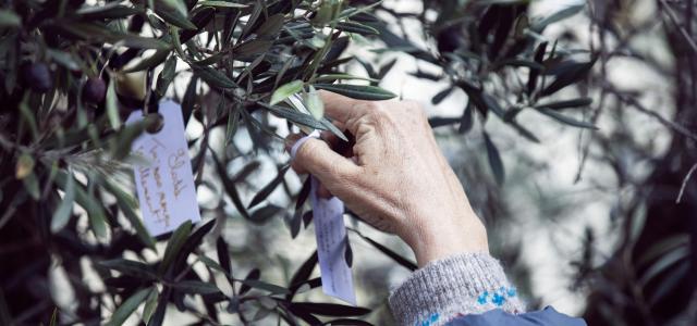 ceremonie-13-novembre-olivier-afp-noémie-coissac-hans-lucas