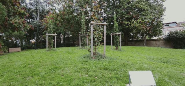 Quatre arbres plantés en mémoire des victimes du terrorisme assassinées le 19 mars 2012 à Toulouse