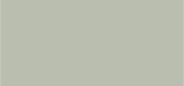 Fond uni couleur vert-de-gris