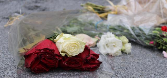 Roses déposées sur un bloc de granit