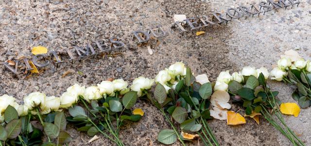 Alignement de roses blanches sur pierre en granit