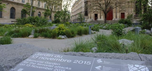 Photo du jardin du 13 novembre