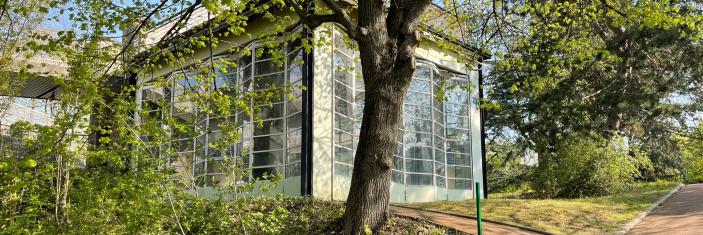 ecole-plein-air-1