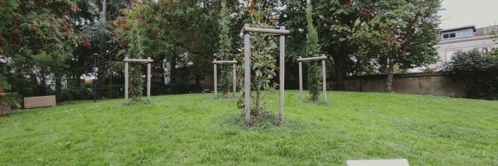 Quatre arbres plantés en mémoire des victimes du terrorisme assassinées le 19 mars 2012 à Toulouse