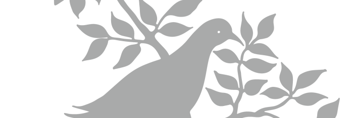 colombe-fond-web