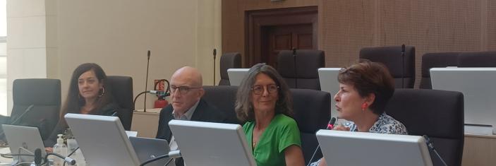 Panel avec Henry Rousso et Elisabeth Pelsez