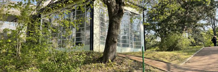 Photo d'un des pavillons de l'Ecole de plein air. La forme est celle d'un rectangle avec des fenêtres en verre.