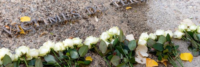 Alignement de roses blanches sur pierre en granit