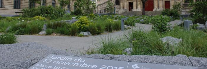 Photo du jardin du 13 novembre