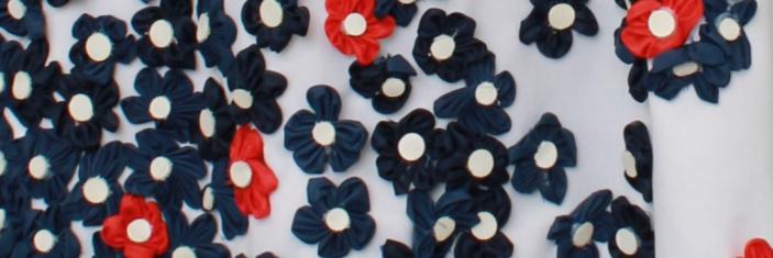 Fleurs rouge et bleu brodées sur fond blanc