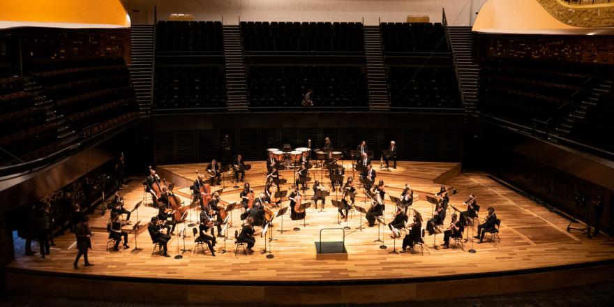 "Il fait novembre en mon âme", Orchestre de chambre de Paris, 13 novembre 2020